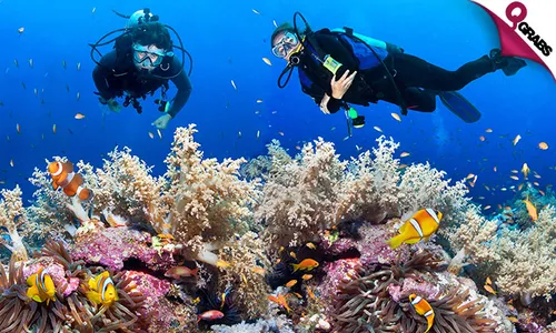 Scuba Diving Trial Session at Sealine OR Hilton Doha Hotel!